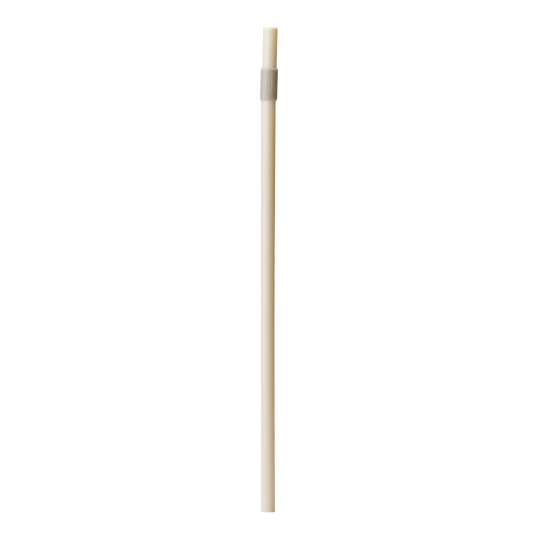 Replacement Straws I1