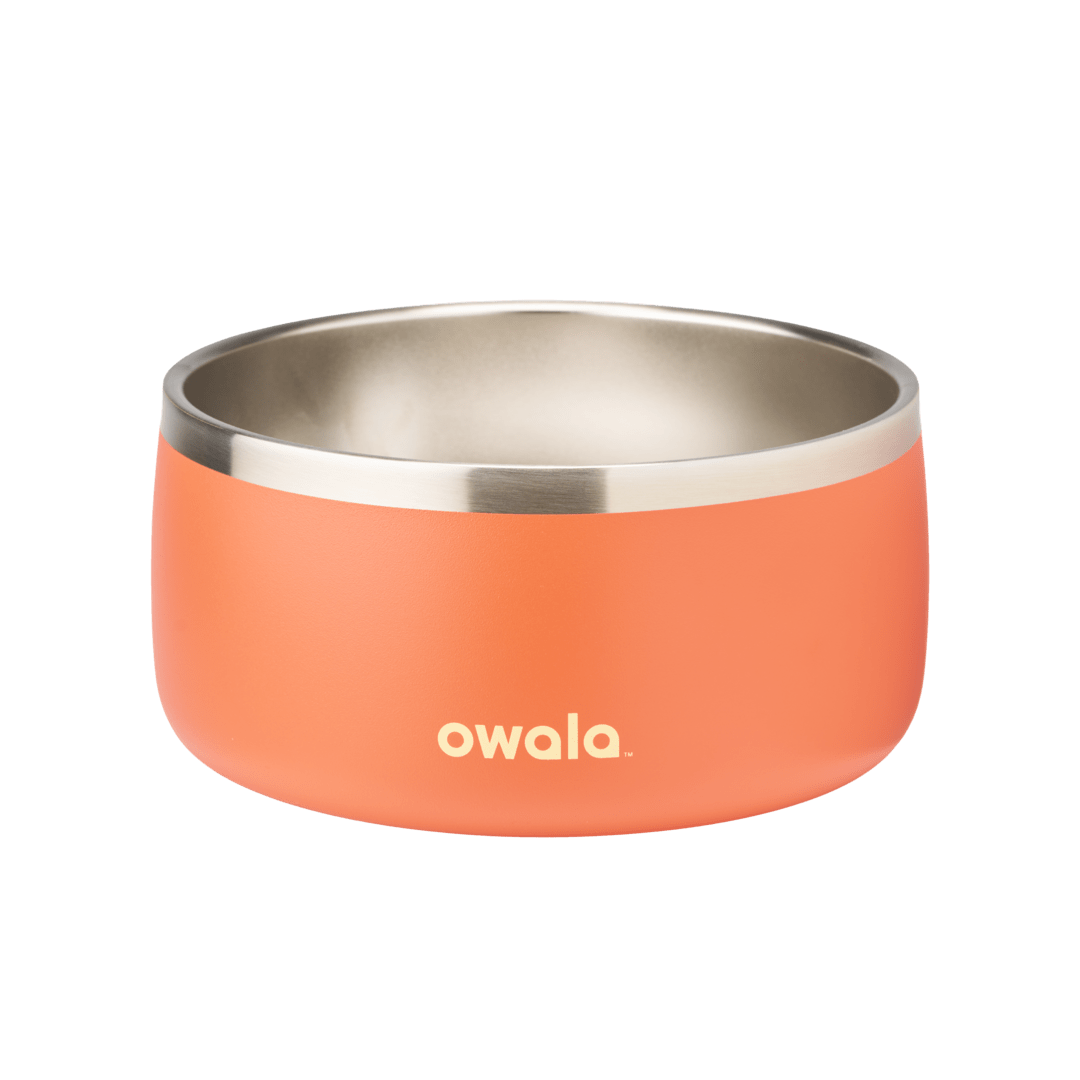Pet Bowl H3