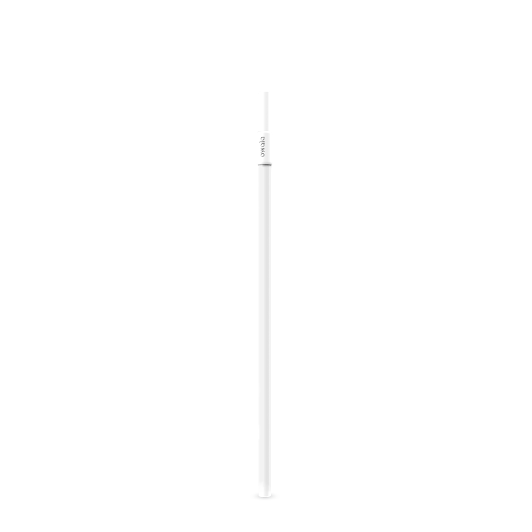 Replacement Straws I1