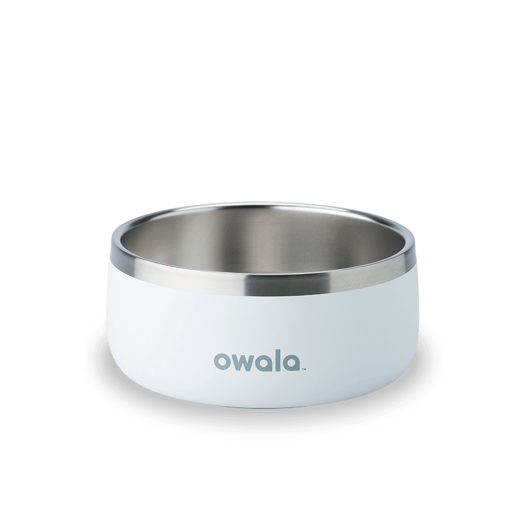 Pet Bowl H3