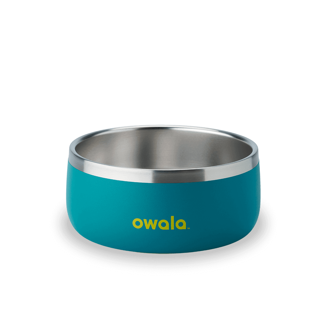 Pet Bowl H3
