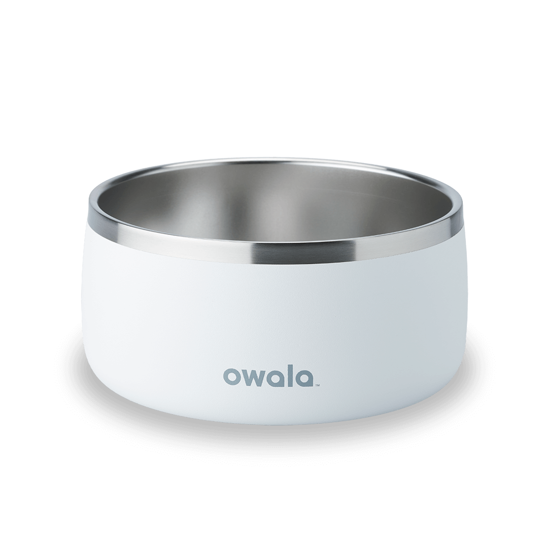 Pet Bowl H3