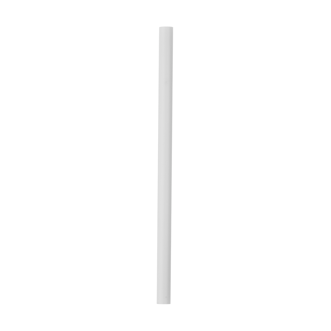 Replacement Straws I1